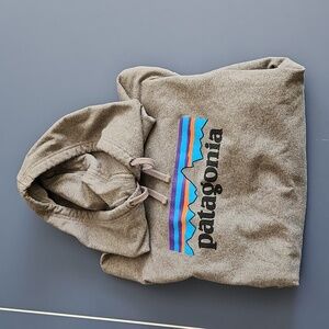Patagonia Hoodie
